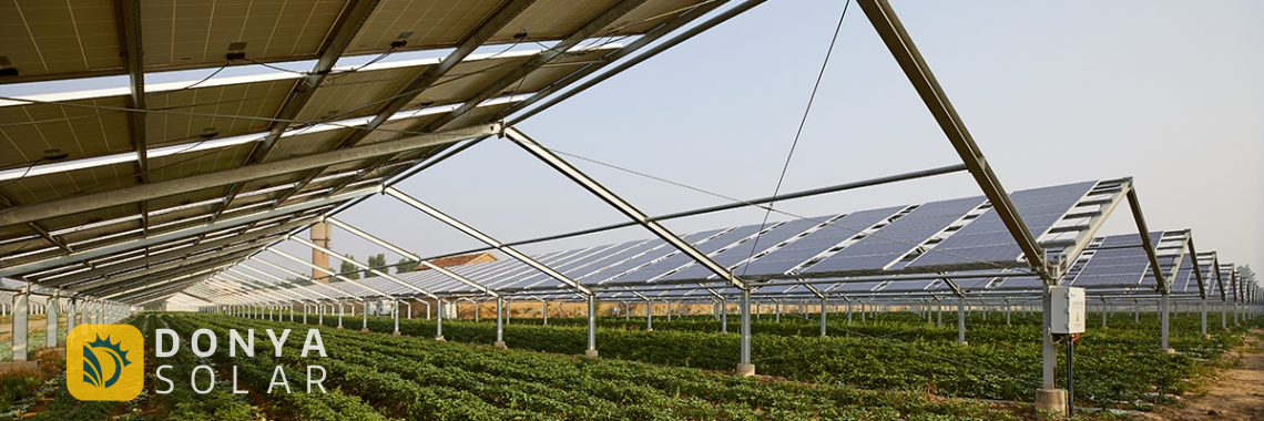 انرژی خورشیدی برای گلخانه
